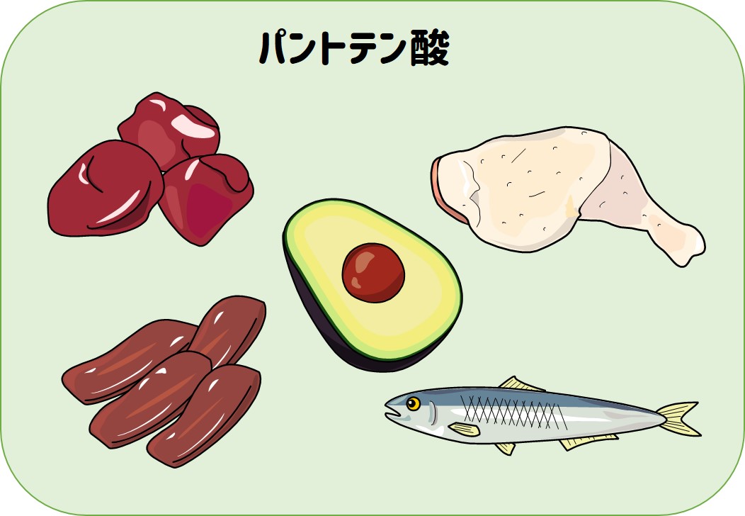 240点を超えるパントテン酸のイラスト素材、ロイヤリティフリーのベクター素材グラフィックスとクリップアート - iStock